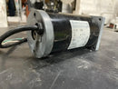 RAE Corporation Corp 3120236 DC Motor