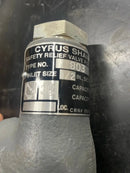 Válvula de alivio de seguridad Cyrus Shank 803