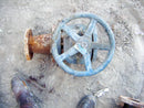 Nibco 4 in. Body Gate Valve with 3 in. Reducer