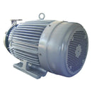 Goulds SST Centrifugal Pump (40 HP, 250 GPM Max)