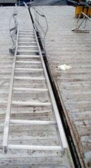 Aluminum Ladder with Galvanized Steel Safety Cage Not Specified