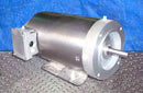 Dayton Stainless Steel Wash-Down Duty Motor-1-1/2 HP Dayton