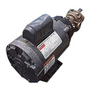 Rotary Positive Displacement Pump Not Specified