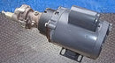 Rotary Positive Displacement Pump Not Specified