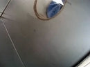 Stainless Steel Single Shell Tank-60 gallon Genemco
