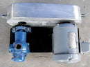 Viking Internal Gear Pump Viking