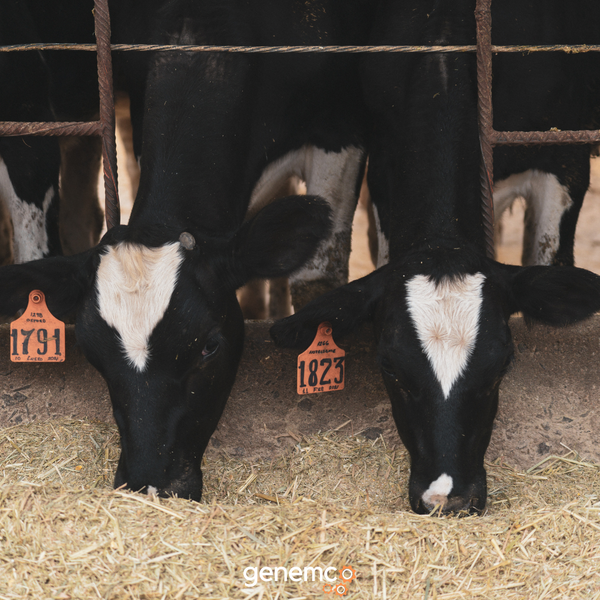How Industrial Accumulators Are Used in the Dairy and Agricultural Industry