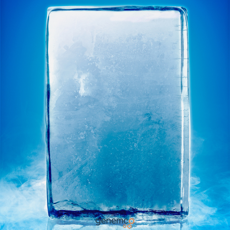Utilization of Industrial Ice Block Presses for Cooling and Preservation in Fisheries and Meat Processing