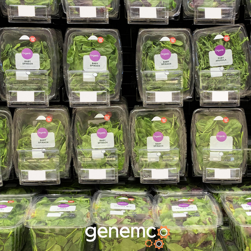 "Toss" Yourself into the Process of Packaged Salad