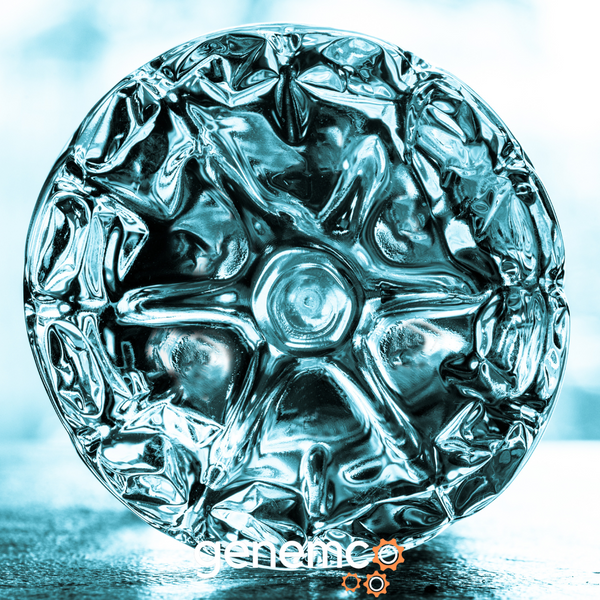 The Industrial Process of Producing Plastic Bottles