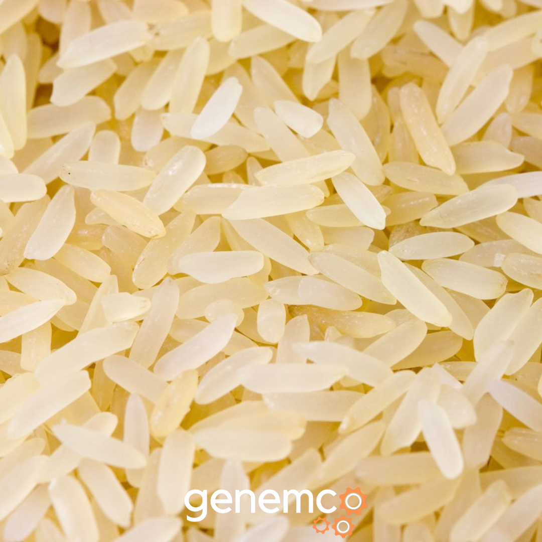 The Fascinating Process of Rice Production