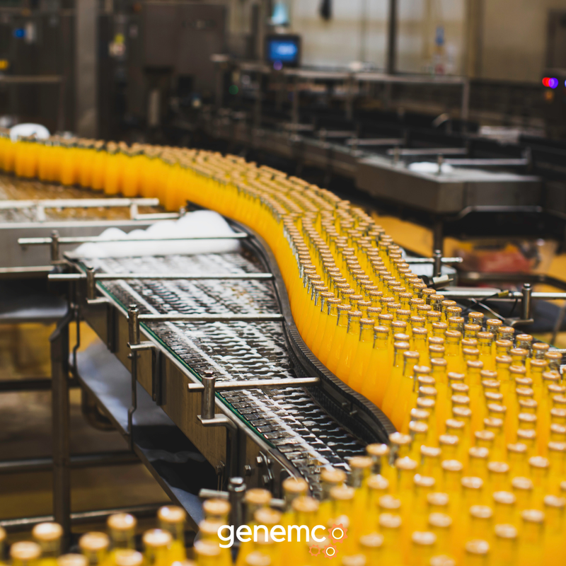 Behind Every Great Beverage: How Pasteurizers, Warming & Cooling Tunnels Power the Industry