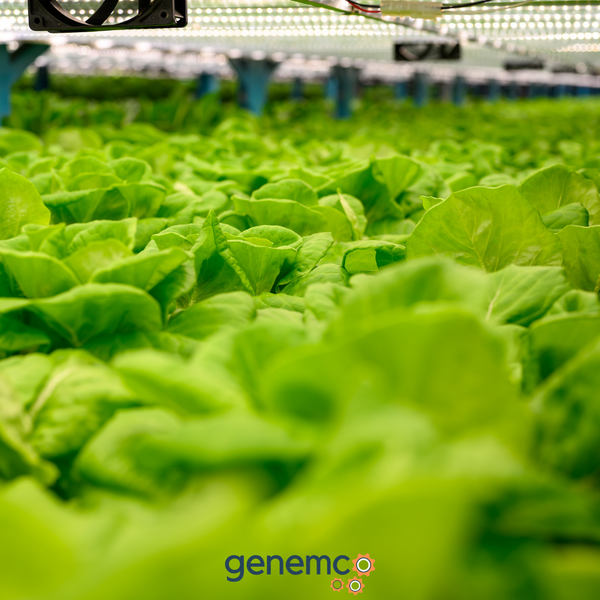 How Industrial Evaporator Coils Are Used in the Agriculture Industry