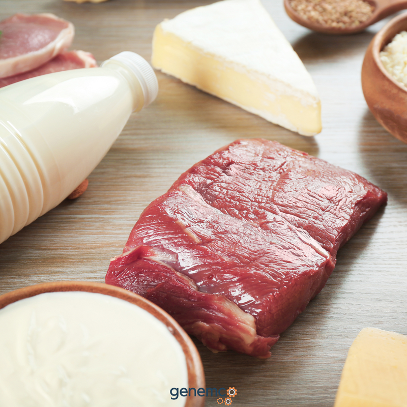 The Role of Industrial Receivers in Food and Beverage Processing Facilities