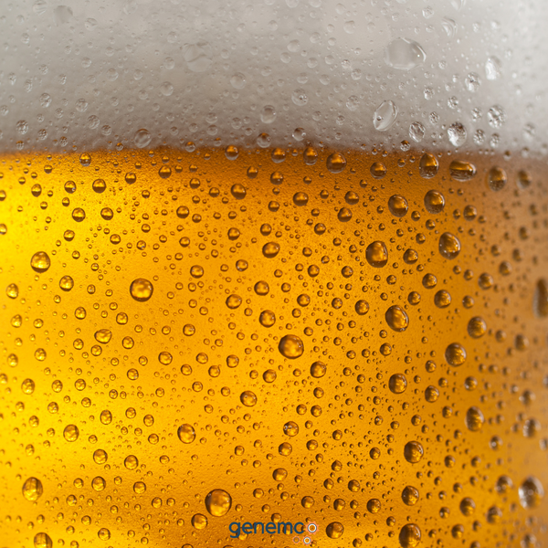How Breweries & Distilleries Use Shell & Tube Ammonia Water Chillers