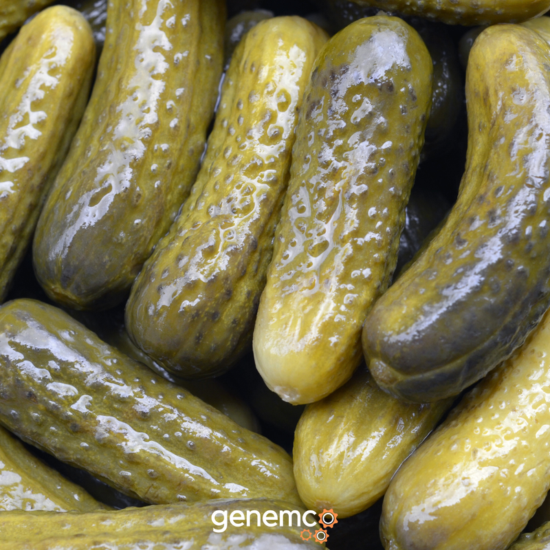 How Pasteurizers, Warming Tunnels, and Cooling Tunnels Work in the Fermented and Specialty Foods Industry