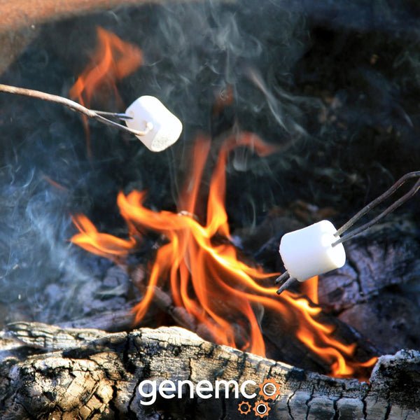 The Gooey Goodness of National Toasted Marshmallow Day & Its Ancient History