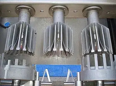 Bertuzzi Food Processing 3-Head Juice Extractor