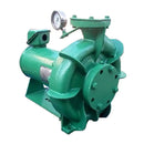 Bomba de amoníaco Can-o-Matic de Buffalo Pumps