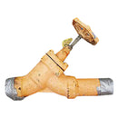 Ammonia Valve - 2 in.