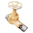 Ammonia Valve
