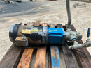 GEA Rotary Gear Pump (3 HP)