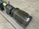 Tri-Clover TCIP3-NLD Positive Displacement Pump (5 HP, 70.4 GPM Max)