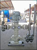 Bran+Luebbe Auto In-line Blend System with 3 Metering Pumps