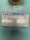 Ram Industries High Efficiency Electric Motor (200 HP, 3565 RPM, 230/460 Volts)