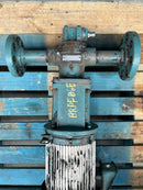 Bomba de engranajes Viking HV2902 (5 HP)