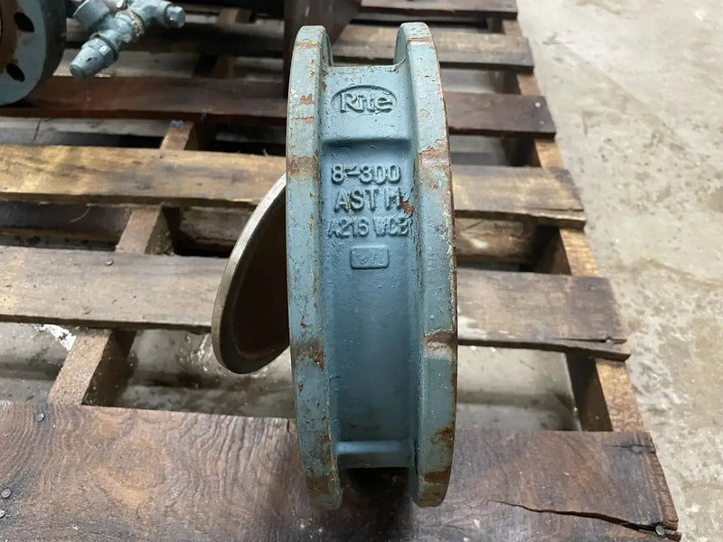 Rite ASTM A216-WCB Sized Check Valve (8 in)
