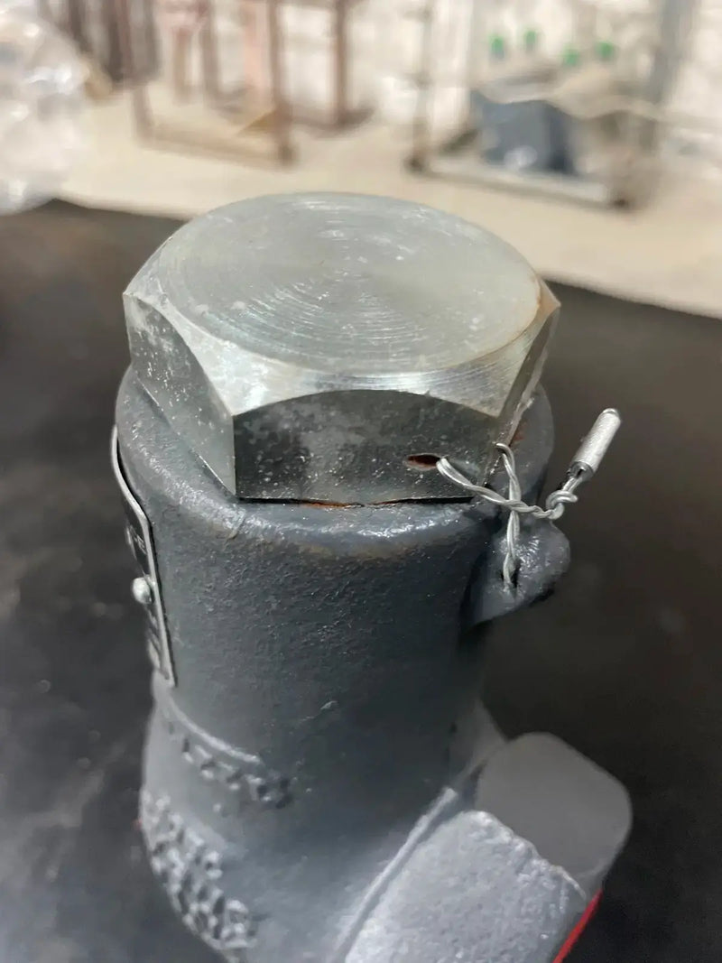 Cyrus Shank 805 Series Relief Valve