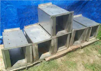 Fanático de Cincinnati