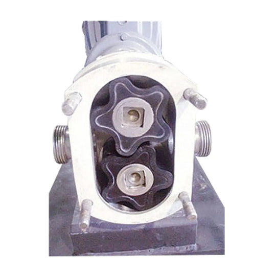 Bomba de desplazamiento positivo APV Crepaco R3