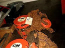 CM Chain Hoist - 3 Ton