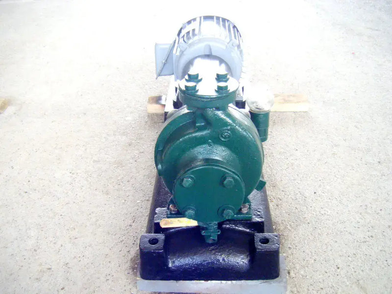 Bomba centrífuga Goulds 3196 (5 HP, 70 GPM máx.)