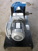 Hayward Gordon Limited SP15N Centrifugal Pump (0.75 HP, 2.3 GPM Max)