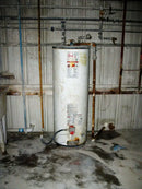 Rheem Manufacturing Co. Calentador de agua caliente Rheemglas Fury - 36,000 BTUH