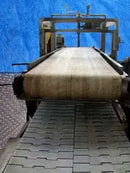 Transfer Conveyor
