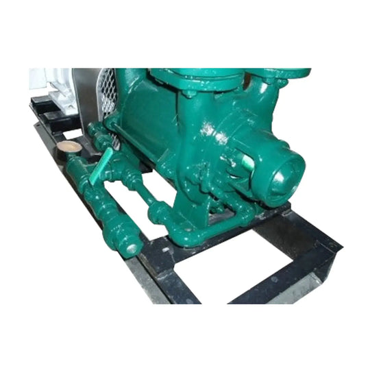 Robuschi Liquid Ring Vacuum Pump