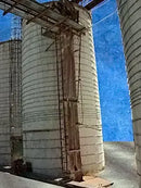 Transportador de barrena y elevador