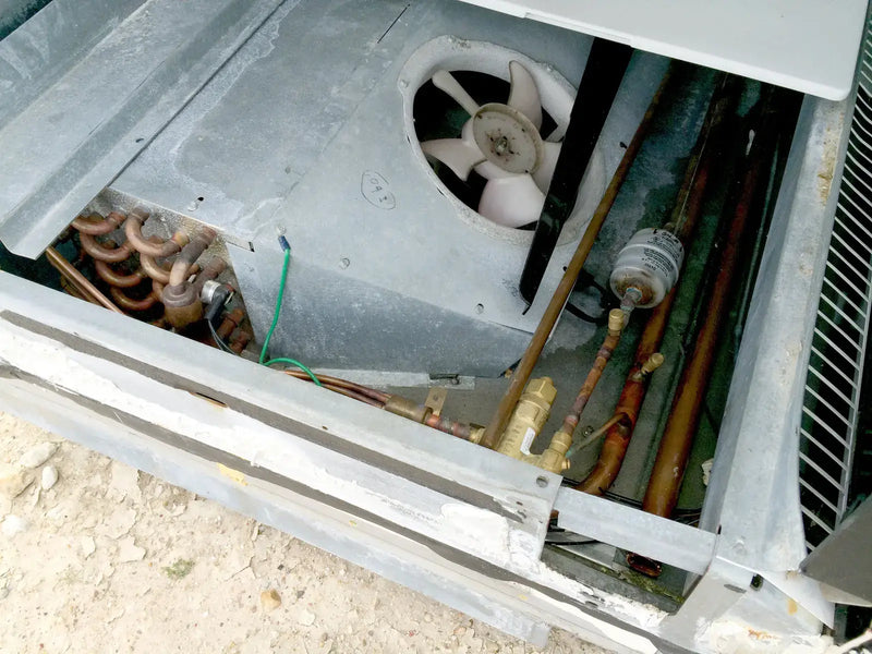 Tyler Glass 20-Door Display Freezer