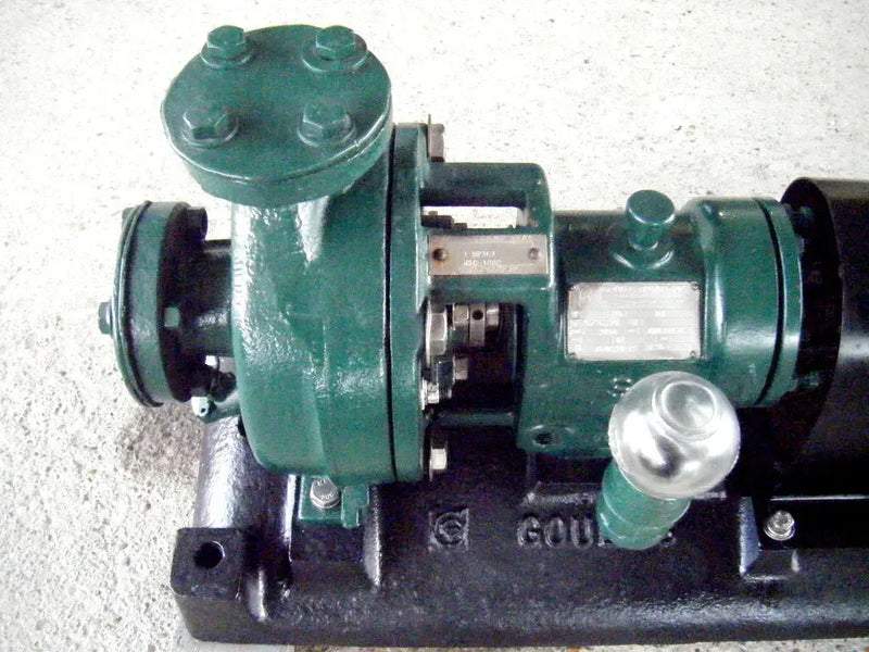 Bomba centrífuga Goulds 3196 (7,5 HP, 150 GPM máx.)