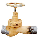 Ammonia Valve