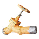 Ammonia Valve - 2 in.