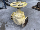Ammonia Shut-Off Globe Valve (8 in)