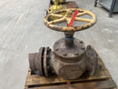Ammonia Shut-Off Globe Valve (8 in)