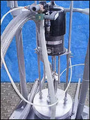 Graco Pneumatic Bulldog J91E Drum Pump