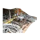 Stainless Steel Digital Scale with Cart