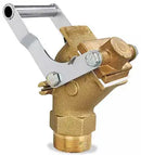 Brass Gate Valve (2 in Opening)